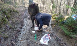 Saské zkušenosti s vlky pomohou v České republice