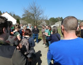 Pan Neumann si šlechtí psy sám.