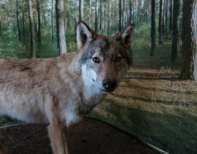 Exkurze do saského Rietschenu v dubnu 2018 (7)