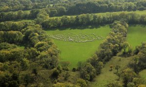 V Litoměřicích se diskutovalo o vlkovi
