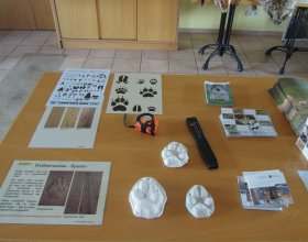 Vlčí den 26. 8. 2018 (6)