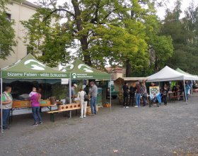 Vlčí den 26. 8. 2018 (17)