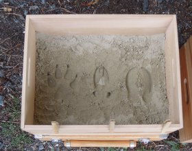 Vlčí den 26. 8. 2018 (19)