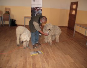 Seminář v Jablonném v Podještědí 4. - 5. 10. 2018 (12)