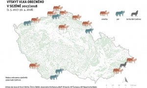 Do České republiky zasahuje 16 vlčích teritorií