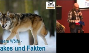 Přednášky německých odborníků o vlcích