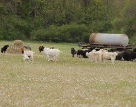 Autor snímku: Tomáš Krajča