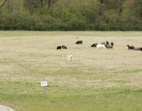 Autor snímku: Tomáš Krajča