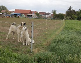 Autor snímku: Tomáš Krajča