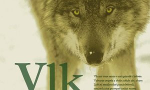 Do Šluknova za vlky: na zámku tu najdete výstavu o jejich životě