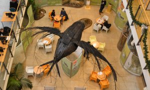 Vlci v liberecké knihovně