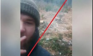 Vlk se ztrátou plachosti v Lužických horách?