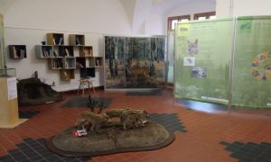 Za vlky do chomutovské knihovny