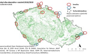 Počet vlčích smeček se za rok zvýšil, do Česka zasahuje osmnáct vlčích teritorií