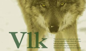 Na výstavu o vlcích do Srbské Kamenice