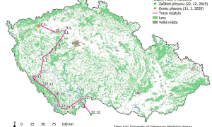 Vlčice z Rakouska přešla do Doupovských hor