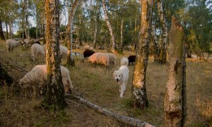 Zveřejněn návrh opatření obecné povahy