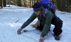 Sečteno: výsledky mapování velkých šelem v Beskydech