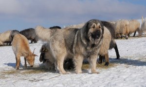 Aktuální informace k dotačním výzvám