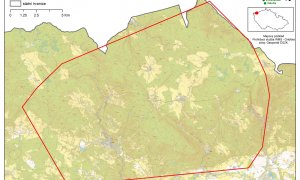 Krušnohorský vlk: vědci potvrdili úspěšný návrat šelmy do místních lesů