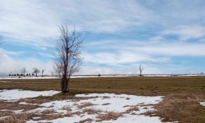 Nejasnosti: AOPK ČR nezjistila na místě údajného incidentu v Krušných horách přítomnost vlčí smečky