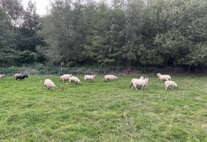 Nově vyhlášené výzvy v Projektovém schématu OPŽP AOPK ČR