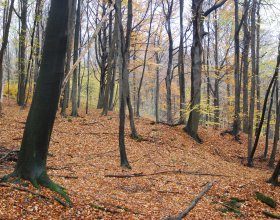 PP Uvezené. Foto: Bohumil Jagoš