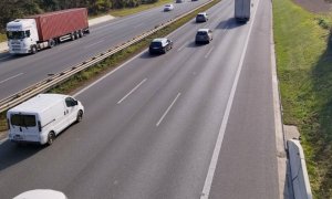 Sražený vlk na dálnici D1 nedaleko Prahy