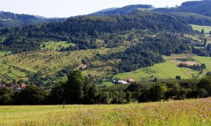 Informace k proplácení náhrad újem za ztížené hospodaření