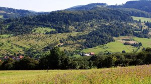 Informace k proplácení náhrad újem za ztížené hospodaření