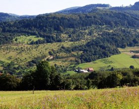 Nedašovsko. Foto: Bohumil Jagoš