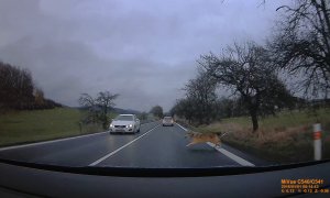 Vlk se po srážce s autem podruhé narodil. Unikátní informace o jeho zotavení poskytnul telemetrický obojek