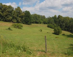 CHKO Český les. Foto: Daniela Hlinková