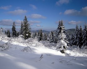 CHKO Beskydy. Foto: Dana Bartošová