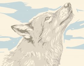 Vlk, kresba Petr Vyoral