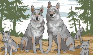 Putovní výstava Návrat vlků