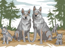 Putovní výstava Návrat vlků