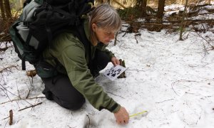 Beskydské mapování velkých šelem se vrací. Letos se koná po dvaačtyřicáté.